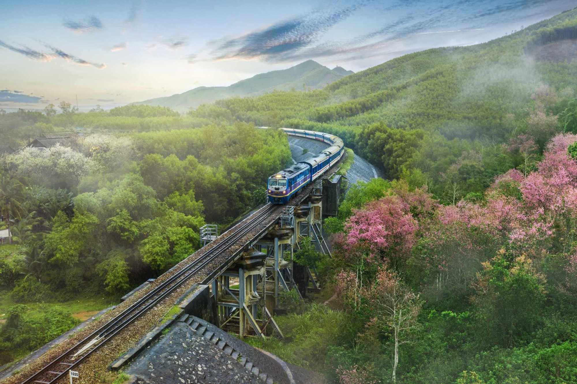 Đường sắt tốc độ cao Bắc - Nam phấn đấu khởi công trước năm 2030 - Ảnh 1.