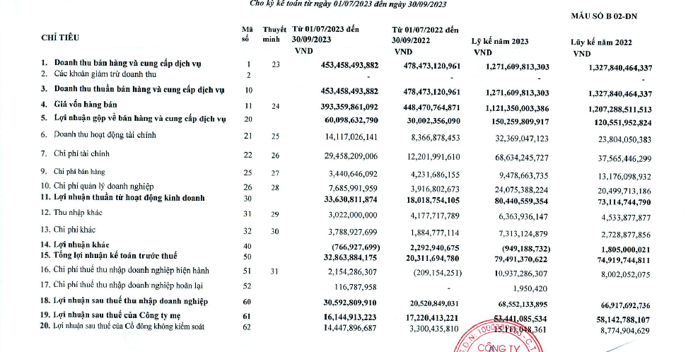 Vì đâu Damsan (ADS) báo lãi tăng vọt 49% so với cùng kỳ? - Ảnh 1.