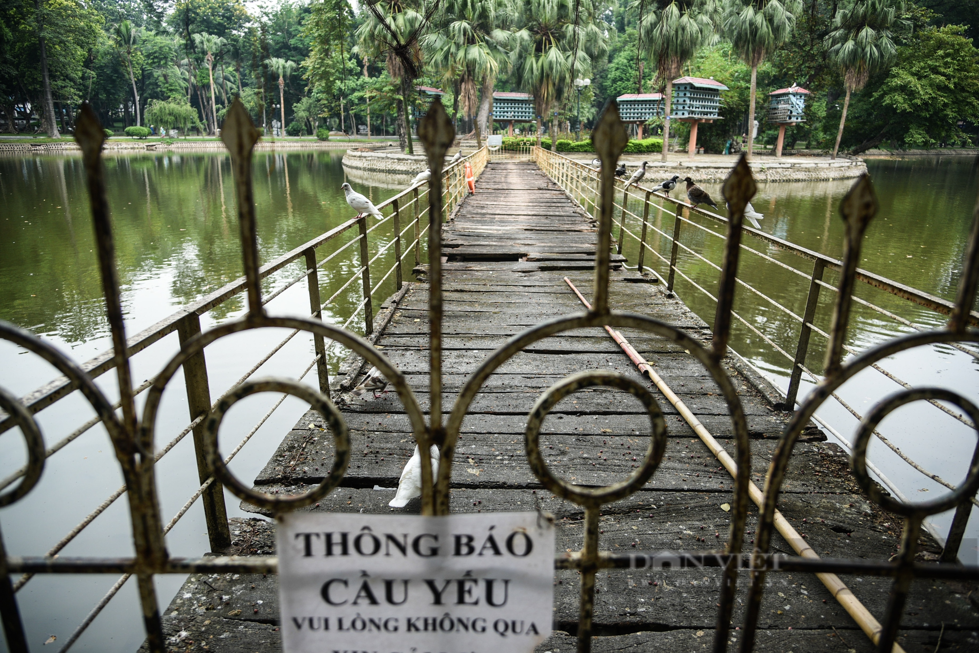 Cận cảnh ba công viên lớn ở Hà Nội được đầu tư 900 tỷ đồng để cải tạo - Ảnh 5.