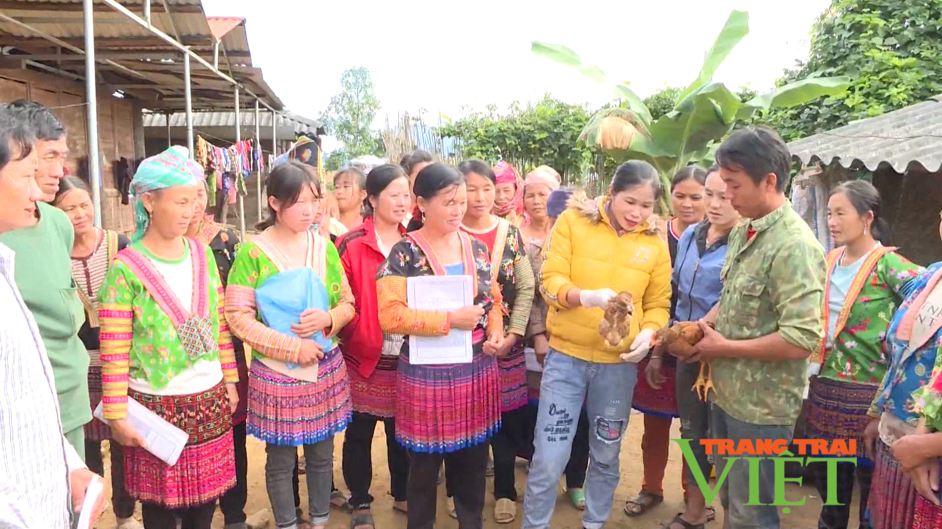 Điện Biên: Băng rừng, vượt suối đưa “nghề mới” đến đồng bào vùng cao - Ảnh 1.