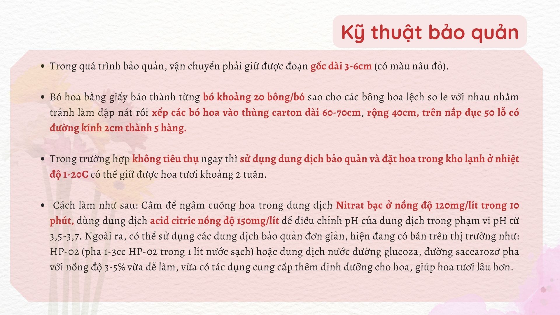 SỔ TAY NHÀ NÔNG: Kỹ thuật thu hái và bảo quản hoa đồng tiền - Ảnh 4.