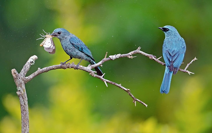 Tư duy nhanh nhạy: Ai sinh tháng Âm lịch này có tài hùng biện, làm đâu thắng đó, thuận lợi thoát nghèo - Ảnh 1.