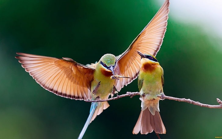 Tư duy nhanh nhạy: Ai sinh tháng Âm lịch này có tài hùng biện, làm đâu thắng đó, thuận lợi thoát nghèo - Ảnh 4.