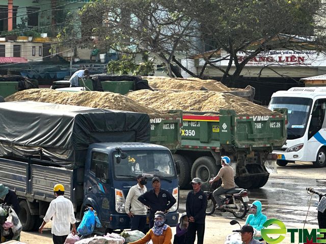 Quảng Ngãi: Lưu ý Sở Xây dựng trong kiểm tra, công bố giá và dự báo nhu cầu sử dụng cát  - Ảnh 4.