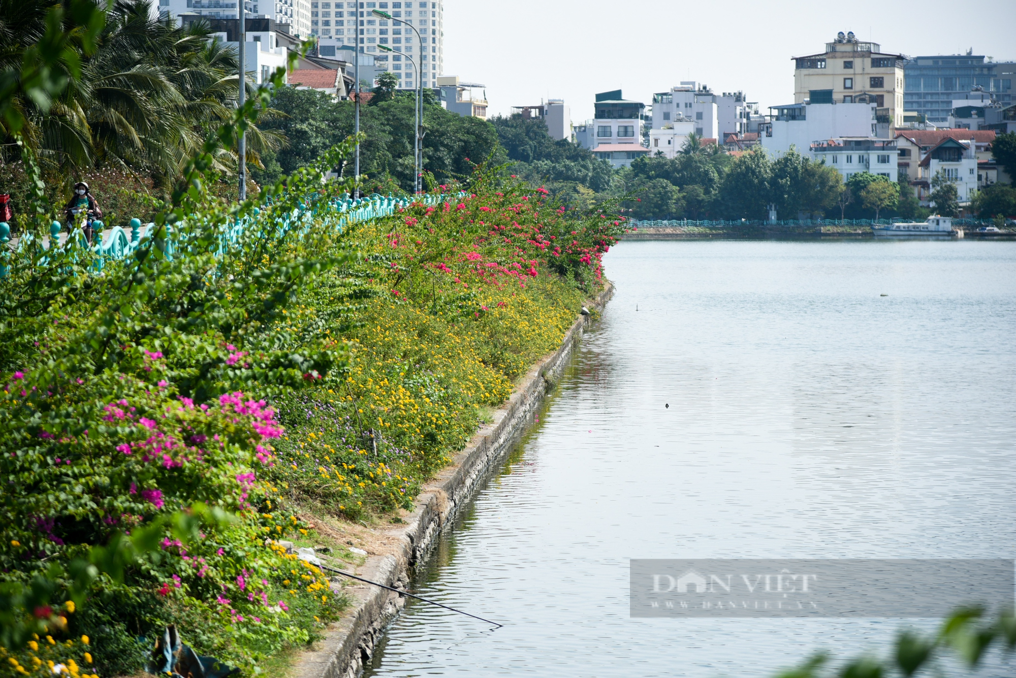 Hồ Tây lấy lại vẻ đẹp tự nhiên khi tháo dỡ nhiều công trình nổi xuống cấp, bỏ hoang - Ảnh 4.