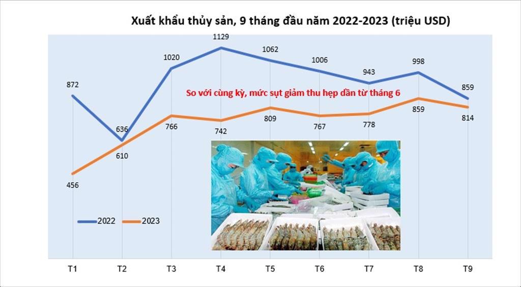 Trung Quốc, Mỹ mua thủy sản nhiều nhất từ Việt Nam, dự báo xuất khẩu có thể đạt 9 tỷ USD - Ảnh 2.