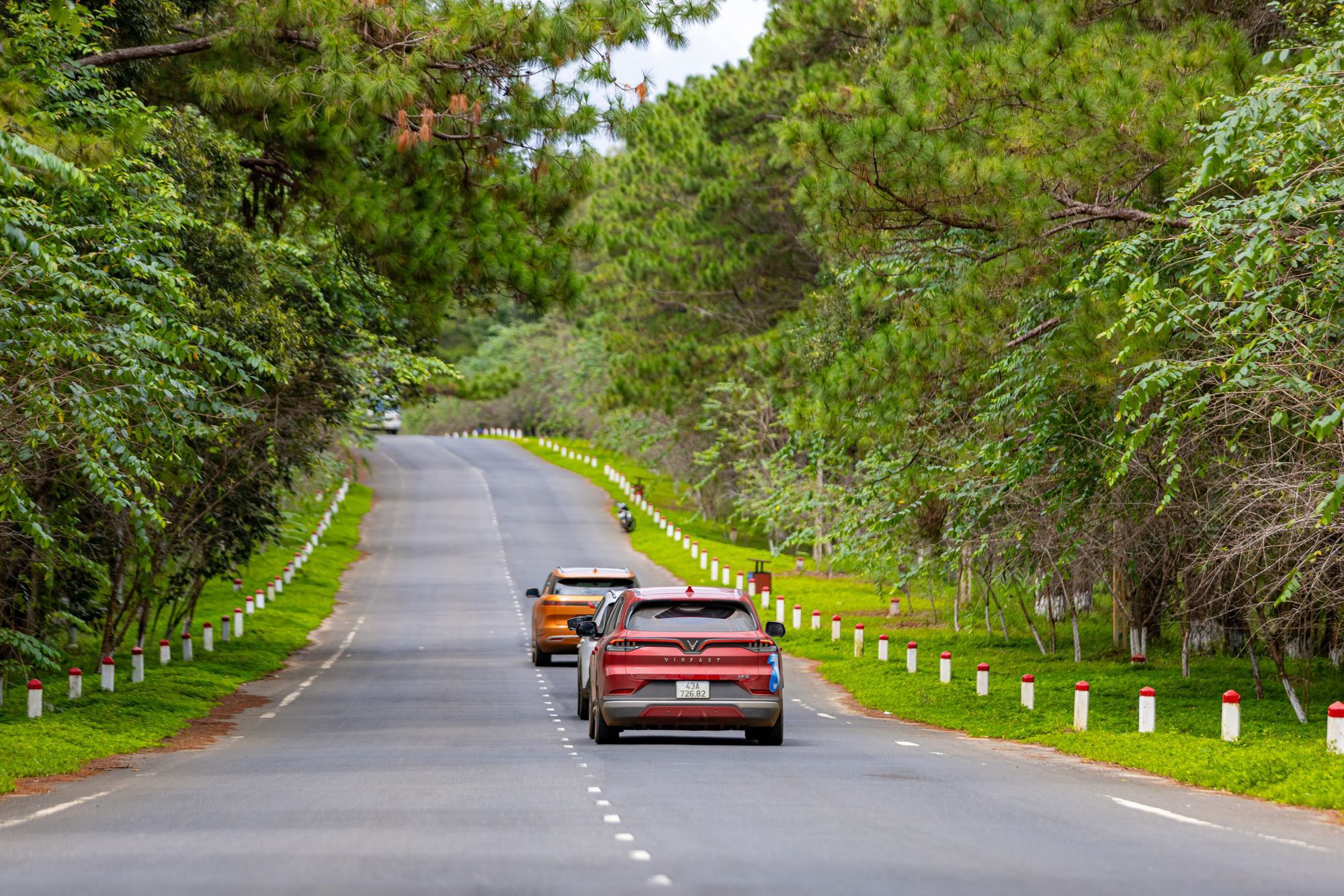 Hành trình chinh phục 4.000 km xuyên Việt của nhóm chủ xe điện VinFast - Ảnh 6.