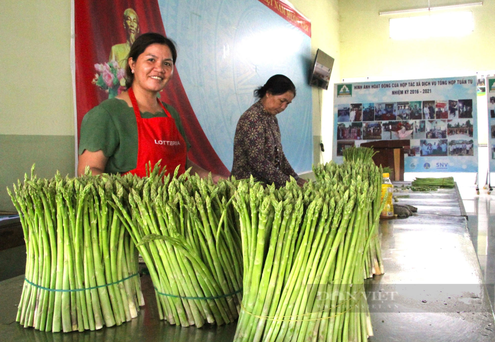 Người Chăm ở Ninh Thuận trồng rau gì mà cả thôn hộ nghèo giảm dần, hộ khá lên trông thấy - Ảnh 1.