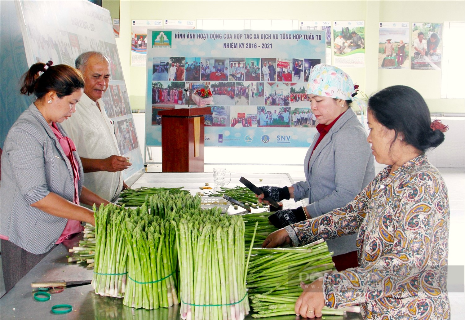 Người Chăm ở Ninh Thuận trồng rau gì mà cả thôn hộ nghèo giảm dần, hộ khá lên trông thấy - Ảnh 4.