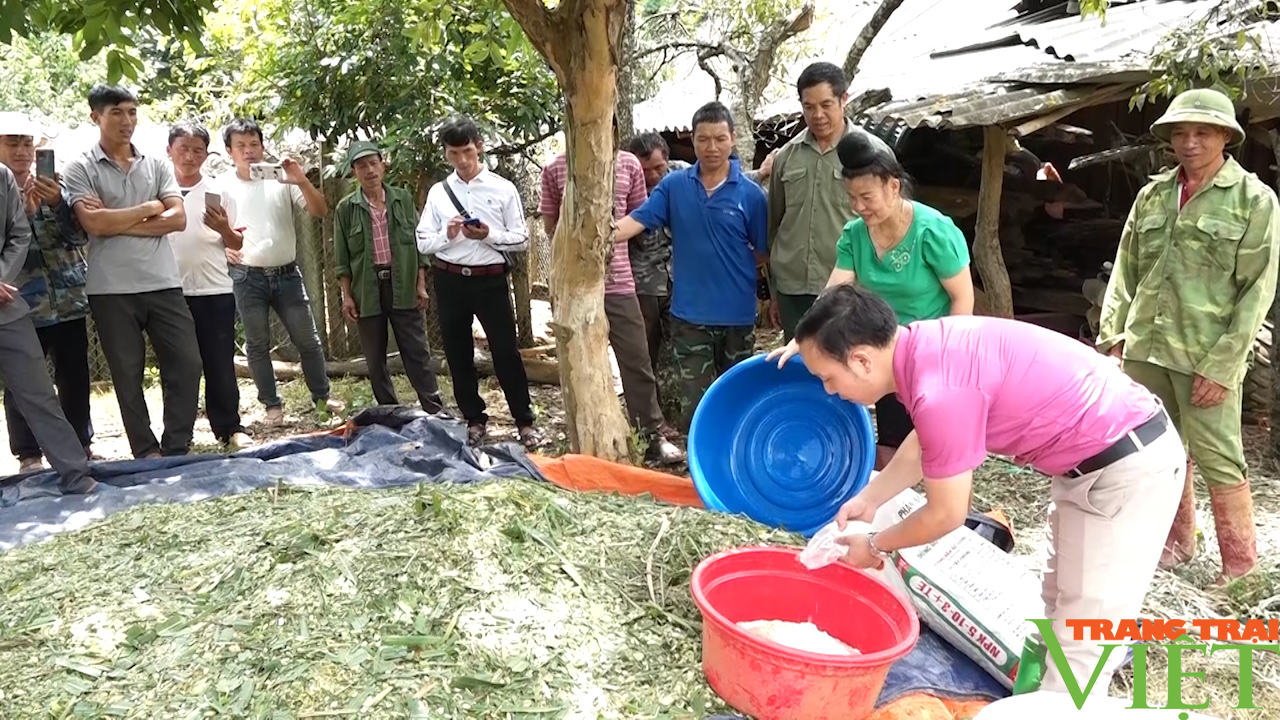 Yên Châu: Nâng cao đời sống đồng bào dân tộc thiểu số - Ảnh 5.