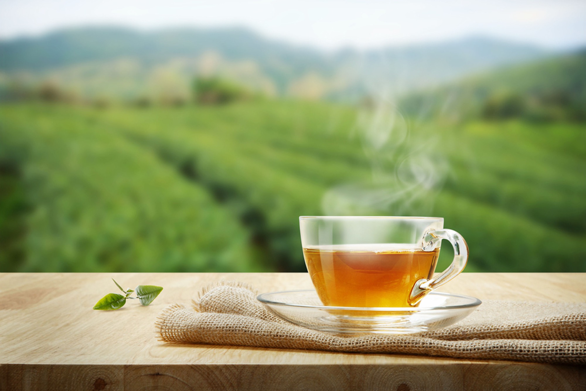 Giải pháp để công ty trà lớn nhất Ấn Độ cắt lỗ tại thị trường Việt Nam - Ảnh 1.