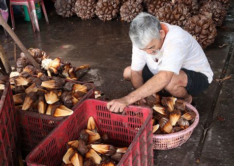 Thứ dừa cắm rễ xuống sình lầy một nơi ở Bến Tre, ra loại quả ngon, cùi dừa ăn khỏe người, đẹp da - Ảnh 5.