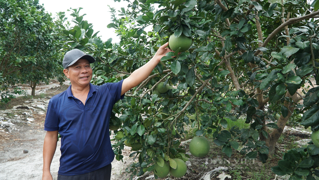 Giúp nông dân chuyển đổi cơ cấu cây trồng, mùa vụ, biến ruộng hoang thành cánh đồng tiền tỷ/ha  - Ảnh 2.