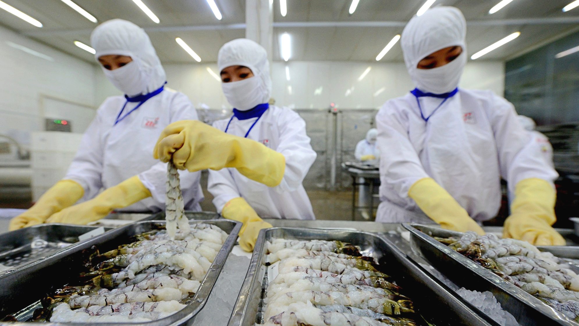 Trung Quốc, Mỹ mua thủy sản nhiều nhất từ Việt Nam, dự báo xuất khẩu có thể đạt 9 tỷ USD - Ảnh 1.