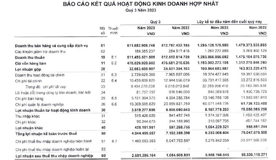 Dệt may Việt Thắng (TVT): Lãi 9 tháng 'bốc hơi' 90%, tổng tài sản giảm đáng kể - Ảnh 1.