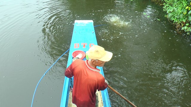 Ở Cà Mau xuất hiện nhiều con hai mảnh, việc săn bắt loài này được coi là thu nhập chính, đó là con gì? - Ảnh 4.