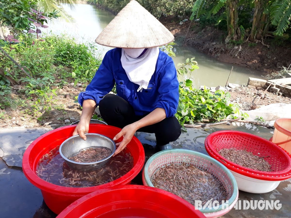 Cả năm mong chờ, người dân Tử Lạc háo hức, phấn khởi vào mùa săn con lắm chân mà đại bổ - Ảnh 1.