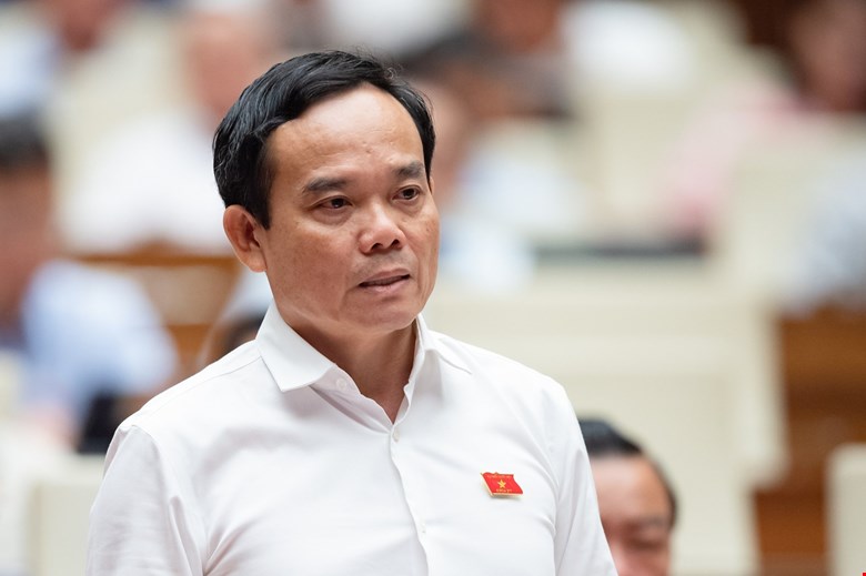 Phó Thủ tướng Trần Lưu Quang làm Trưởng Ban Chỉ đạo thực hiện sắp xếp đơn vị hành chính cấp huyện, cấp xã - Ảnh 1.
