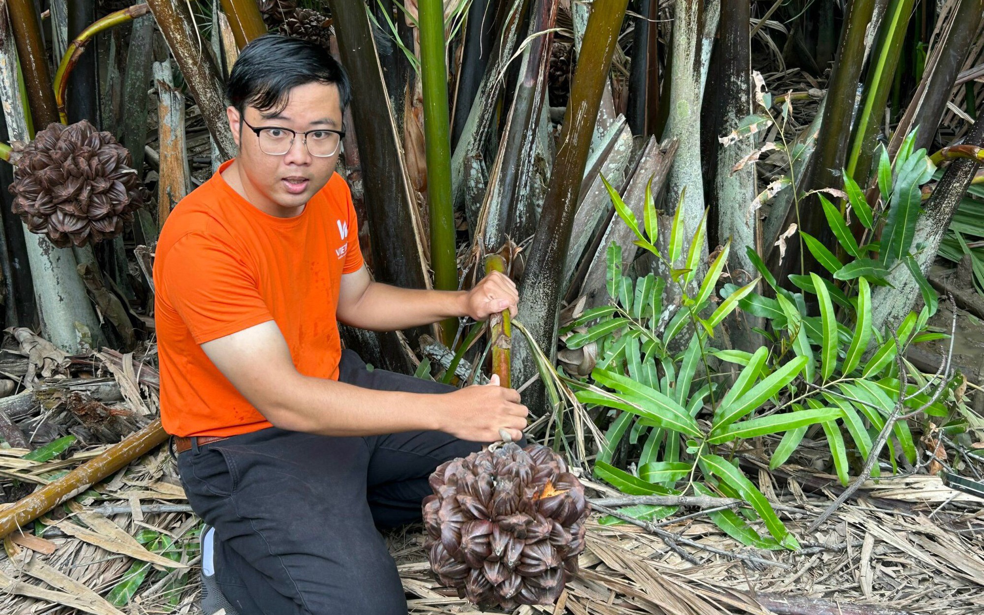 Những nông dân trẻ đi đầu xu thế kinh doanh mới, định vị nông nghiệp đô thị cho Cần Giờ