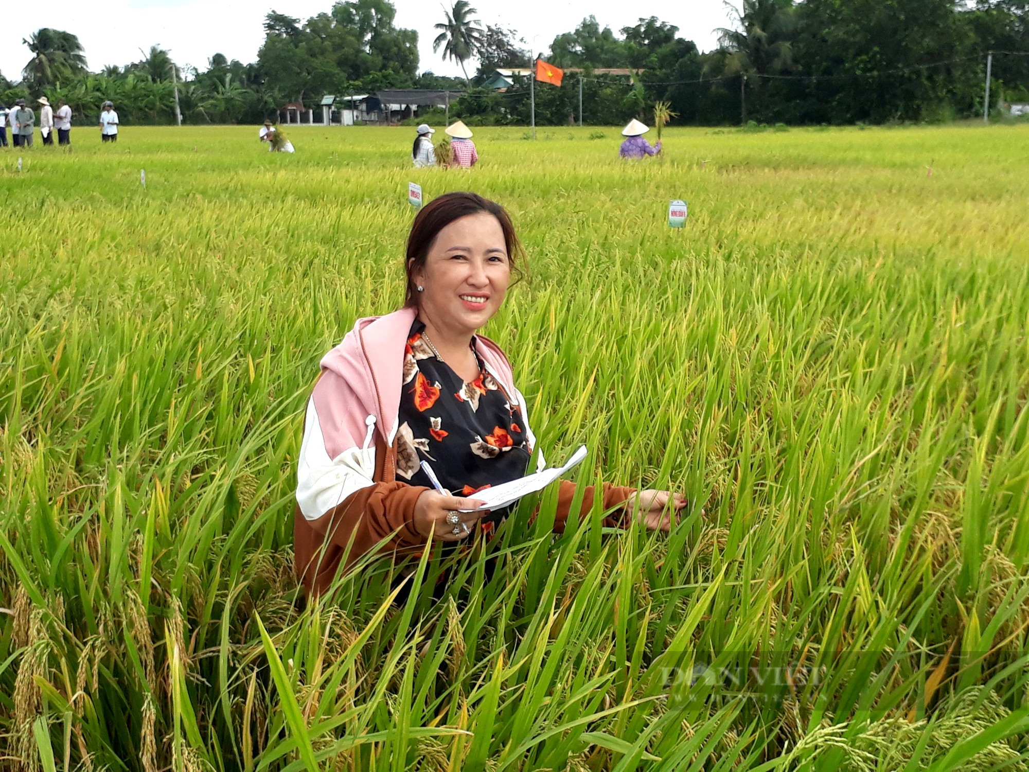 20 năm làm lúa giống, lãi tiền tỷ mỗi năm, chị nông dân Tiền Giang là nông dân Việt Nam xuất sắc 2023 - Ảnh 1.