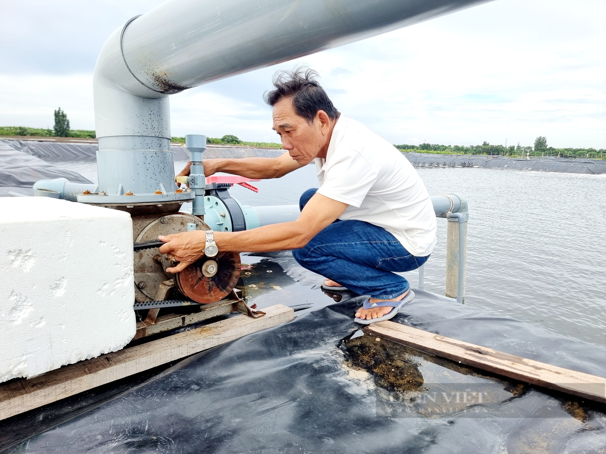 Hai Hiệp: Người từ hai bàn tay trắng trở thành “vua” tôm thẻ và là Nông dân Việt Nam sản xuất giỏi - Ảnh 4.