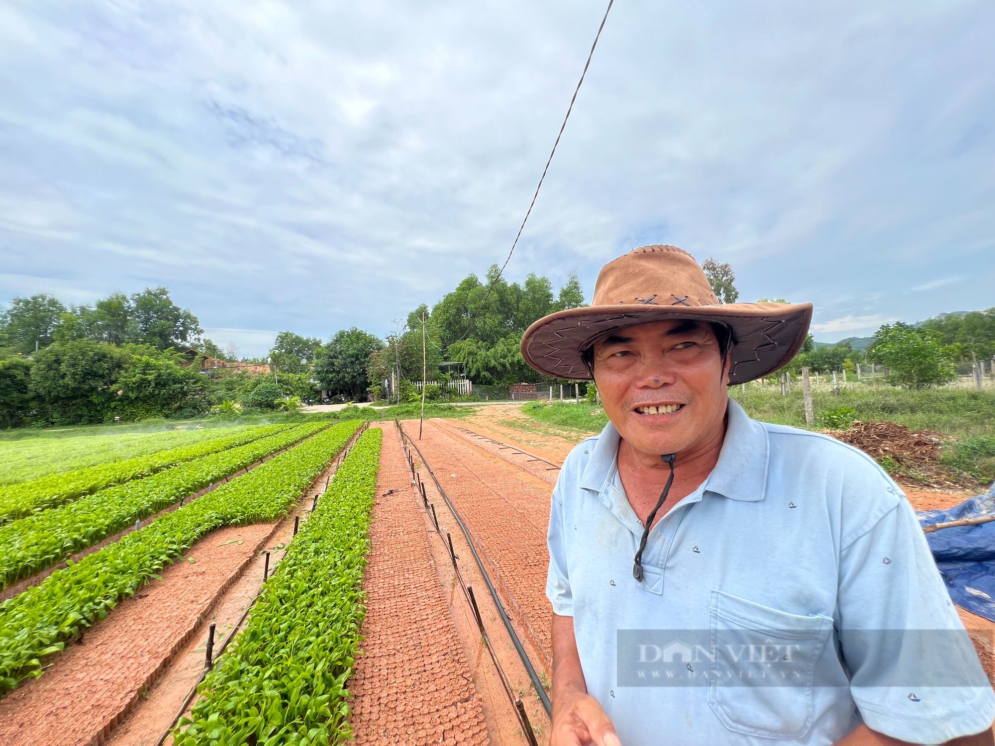 &quot;Tỷ phú&quot; trồng rừng ở Bình Định trở thành nông dân Việt Nam xuất sắc năm 2023 - Ảnh 5.