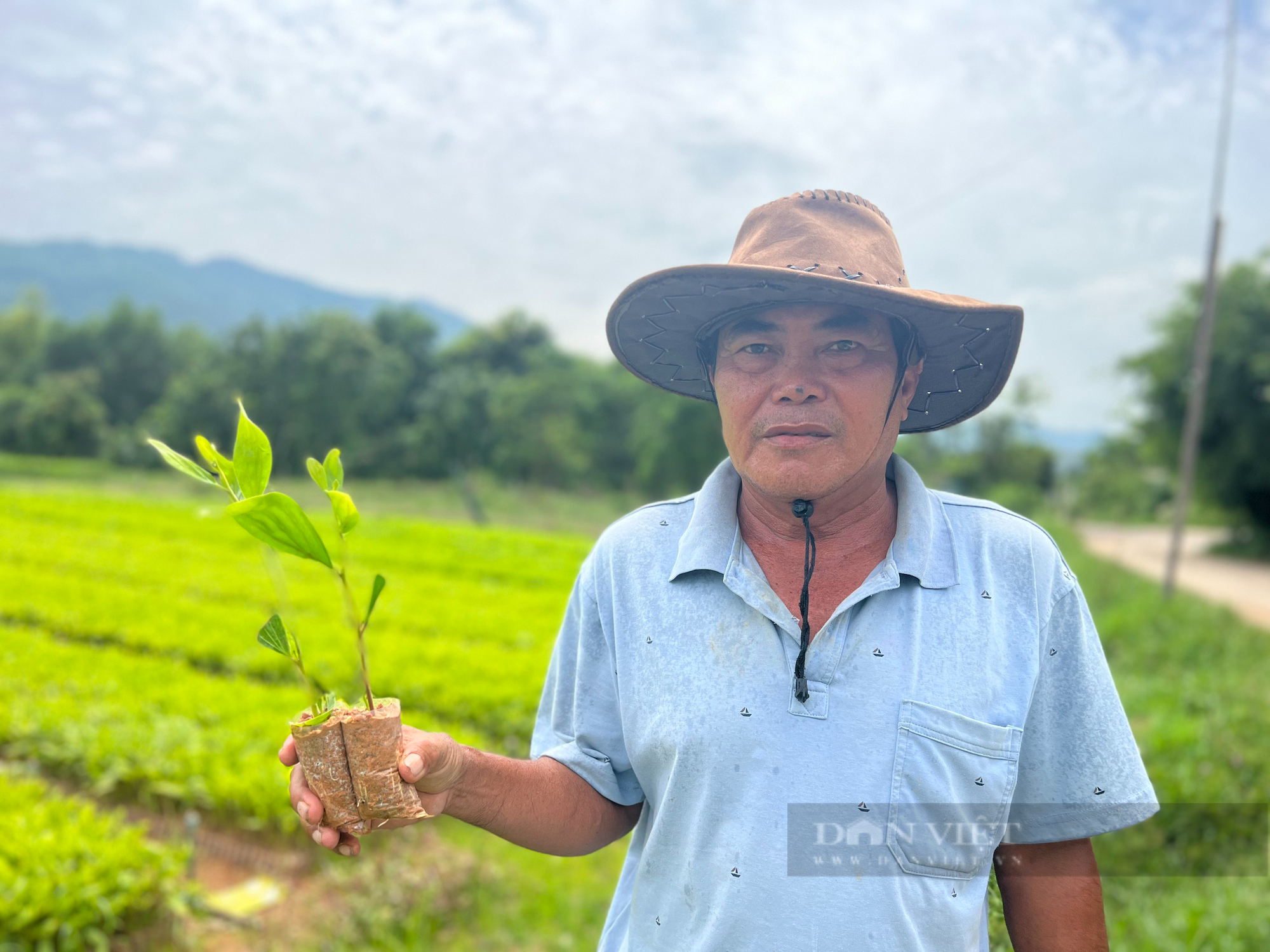 &quot;Tỷ phú&quot; trồng rừng ở Bình Định trở thành nông dân Việt Nam xuất sắc năm 2023 - Ảnh 7.