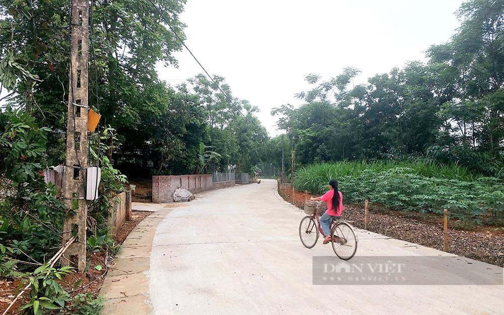 Ở một xã miền núi Phú Thọ, hộ nghèo theo nhau hiến đất làm đường giao thông  - Ảnh 1.