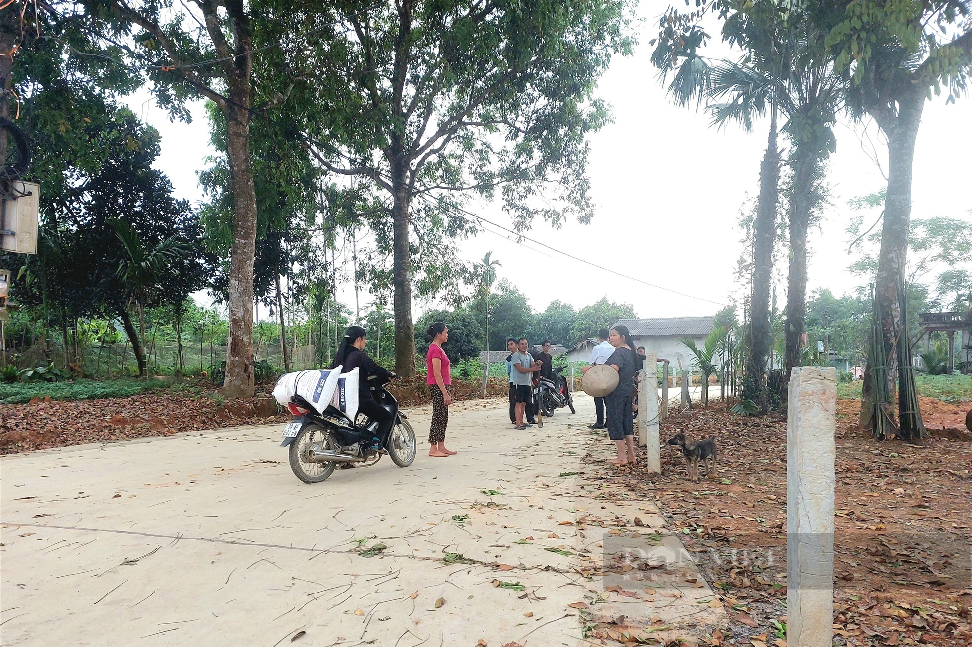 Ở một xã miền núi Phú Thọ, hộ nghèo theo nhau hiến đất làm đường giao thông  - Ảnh 3.
