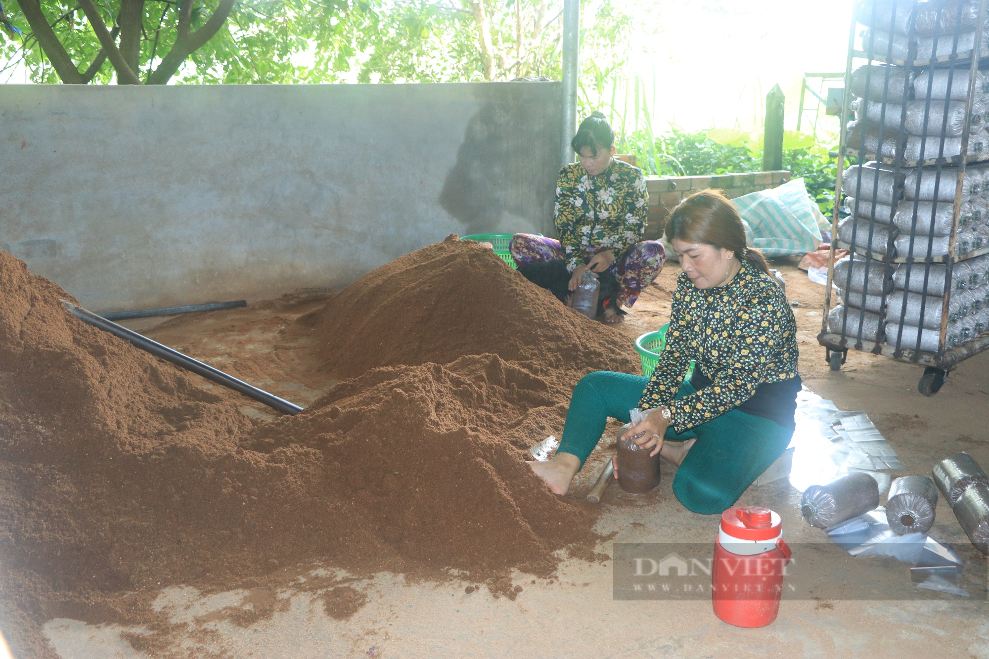 Vừa làm Trưởng ấp, vừa trồng nấm thu 2 tỷ đồng/năm, là Nông dân Việt Nam xuất sắc 2023 - Ảnh 7.