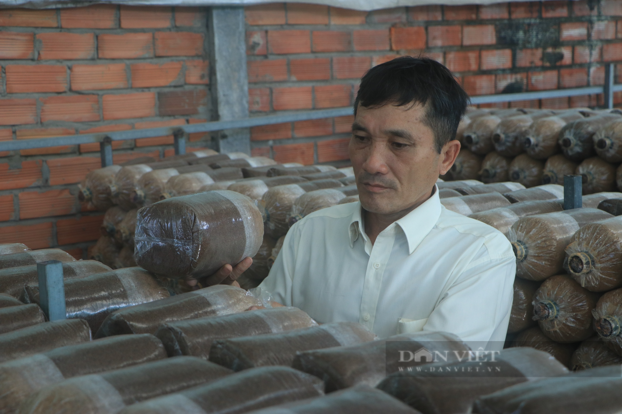 Vừa làm Trưởng ấp, vừa trồng nấm thu 2 tỷ đồng/năm, là Nông dân Việt Nam xuất sắc 2023 - Ảnh 8.