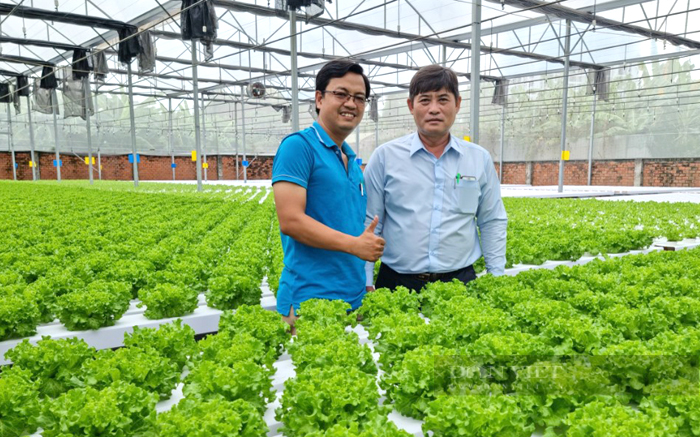 Ông Nguyễn Văn Quên – Chủ tịch Hội Nông dân TP.Thủ Đức (phải) tham quan mô hình nông nghiệp công nghệ cao của HTX Tuấn Ngọc ở phường phường Long Trường. Ảnh: Nam Bình