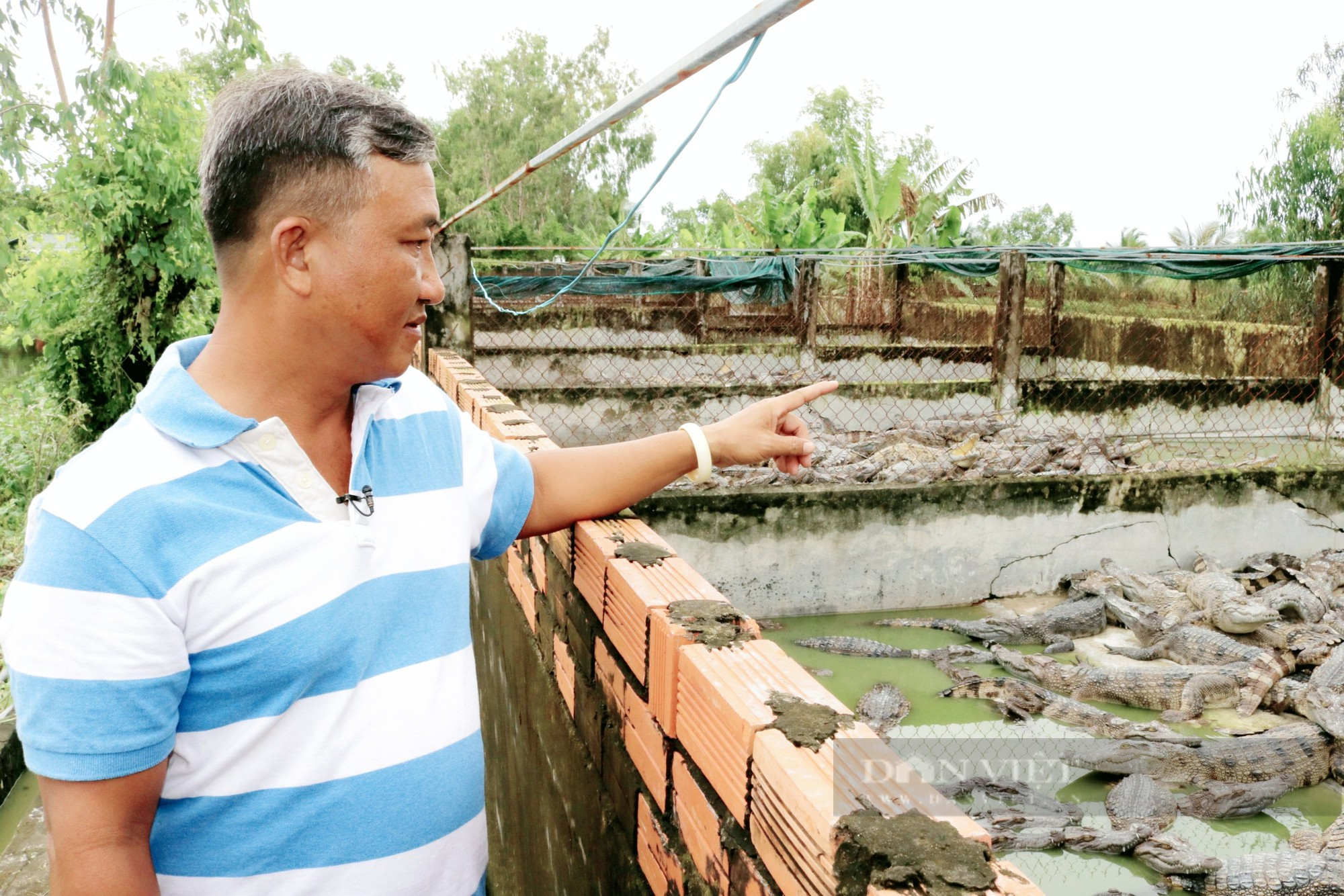 Agribank đồng hành cùng nông dân nuôi cá sấu tại Kiên Giang - Ảnh 1.