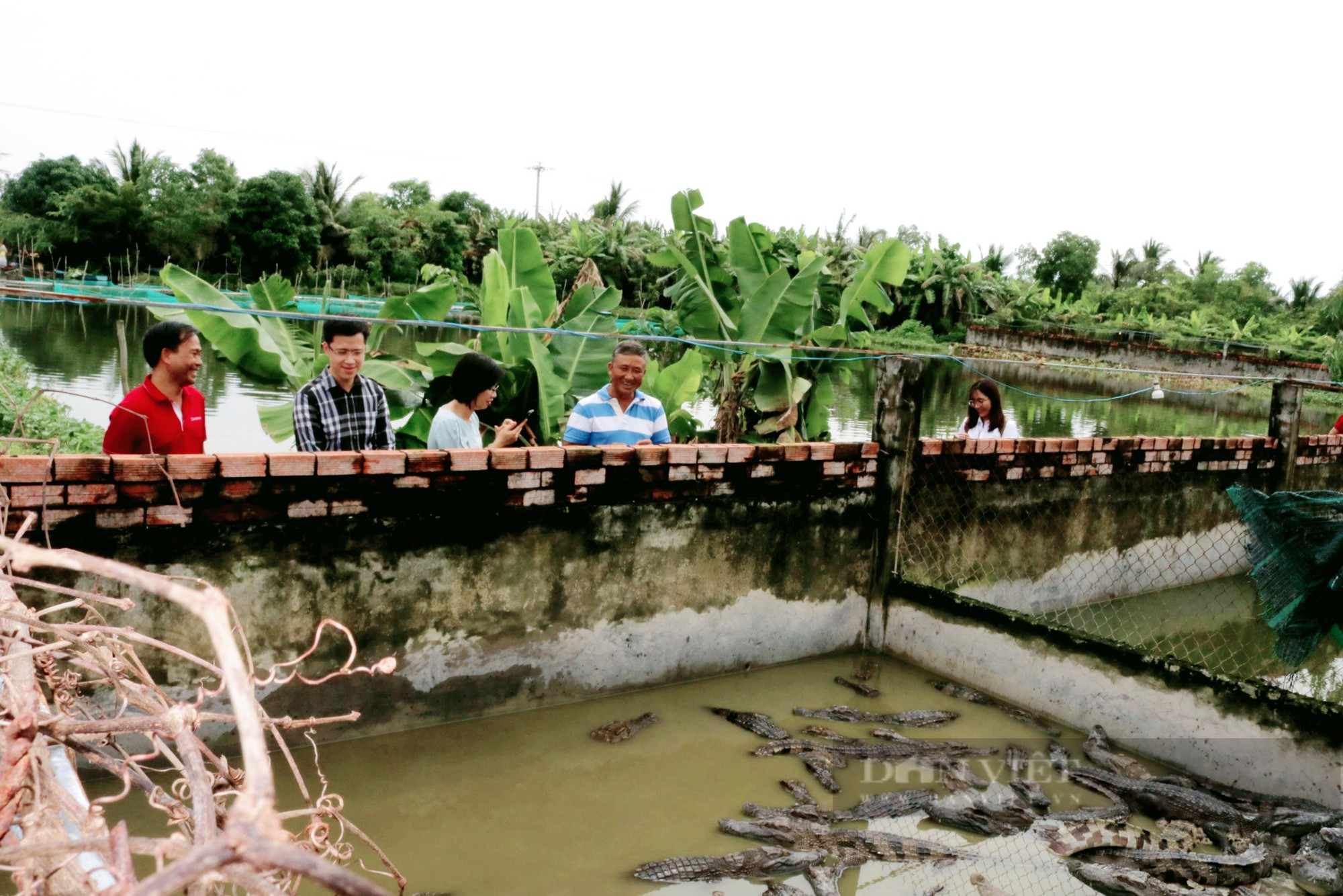 Agribank đồng hành cùng nông dân nuôi cá sấu tại Kiên Giang - Ảnh 4.