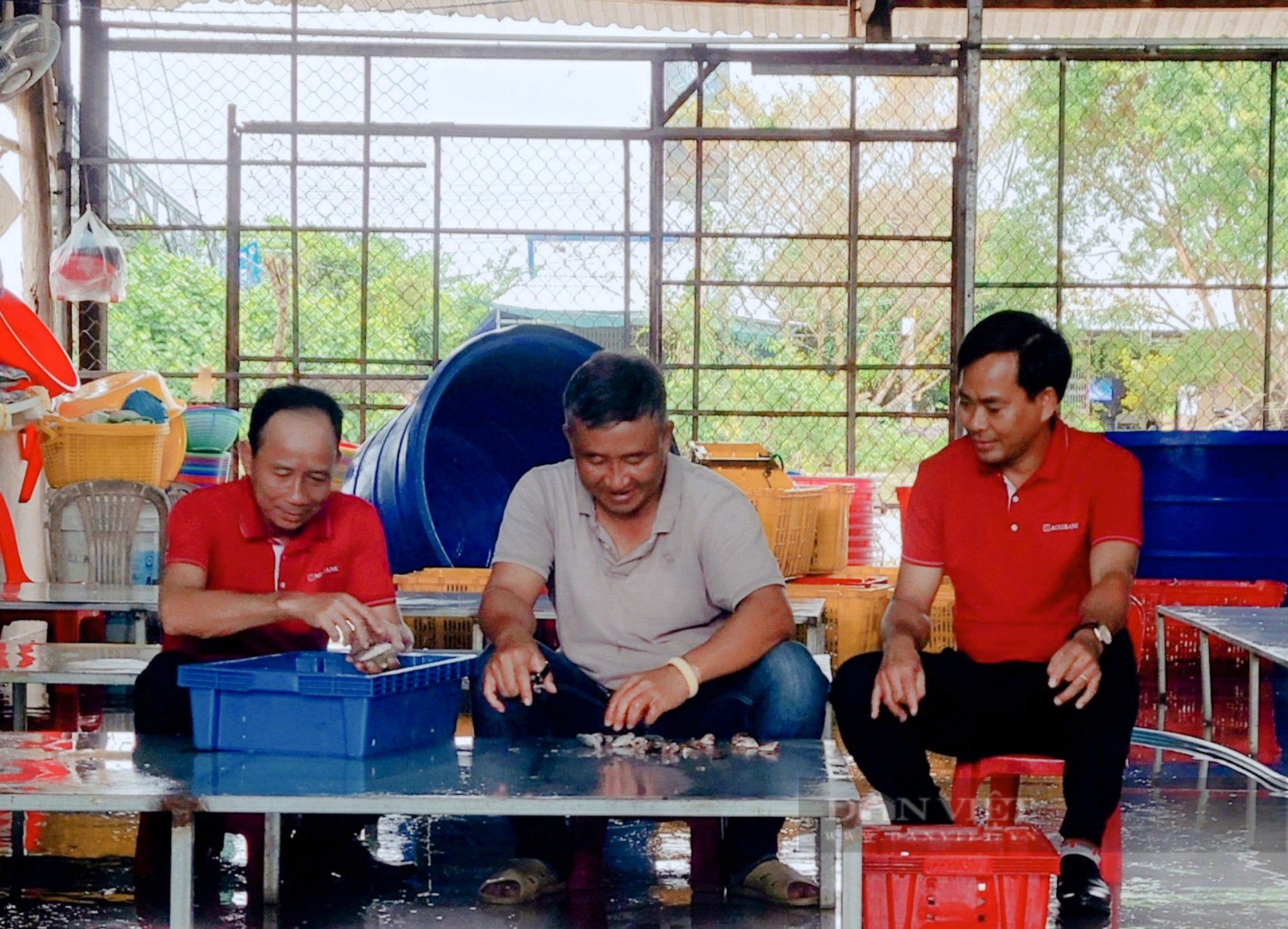 Agribank đồng hành cùng nông dân nuôi cá sấu tại Kiên Giang - Ảnh 5.