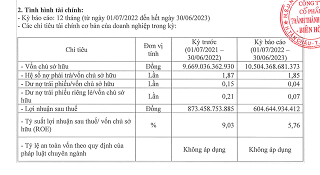 Thành Thành Công - Biên Hòa (SBT): Niên độ 2022 - 2023 lợi nhuận giảm 31%, chuyển nhượng cổ phần 2 công ty - Ảnh 1.