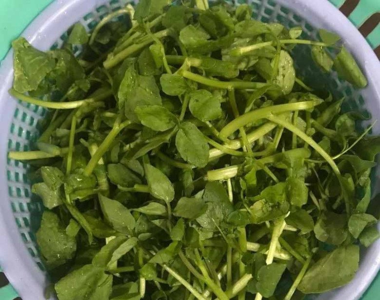 Cây này ở Việt Nam không chăm cũng lớn, nước Mỹ chấm “10 điểm”, là rau tốt nhất thế giới giá 25.000đ/kg - Ảnh 4.