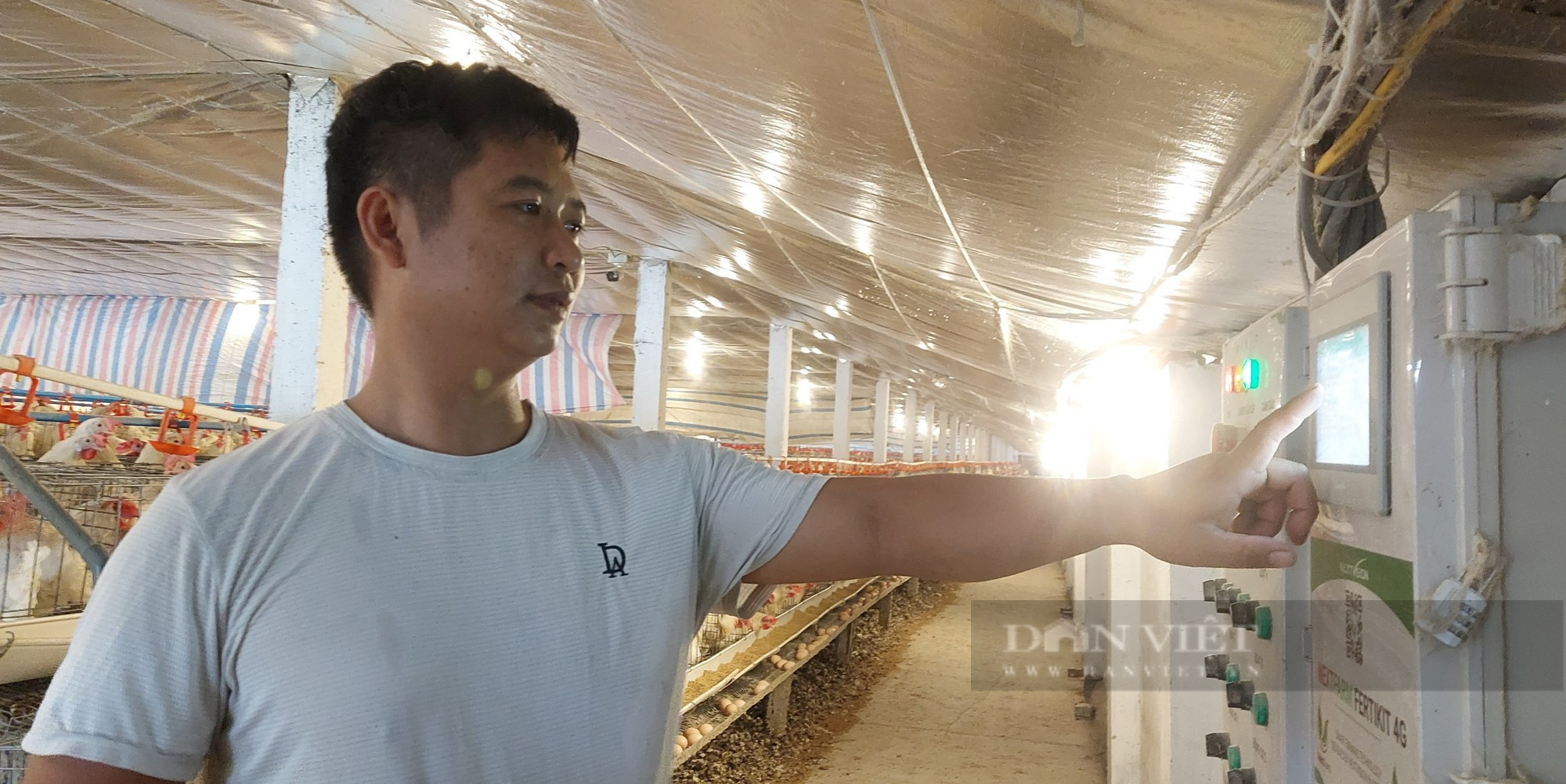 Nông dân Hải Phòng áp dụng công nghệ tự động hóa cho gà đẻ trứng sòn sòn, thu nhập hàng trăm triệu/ tháng - Ảnh 2.