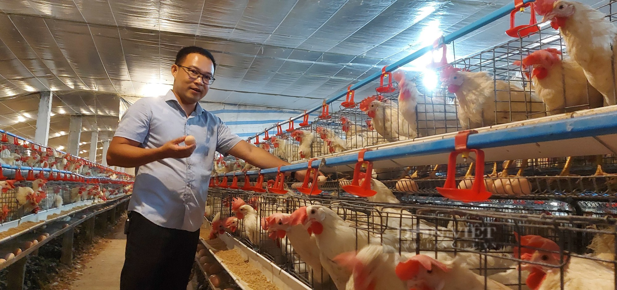 Nông dân Hải Phòng áp dụng công nghệ tự động hóa cho gà đẻ trứng sòn sòn, thu nhập hàng trăm triệu/ tháng - Ảnh 4.