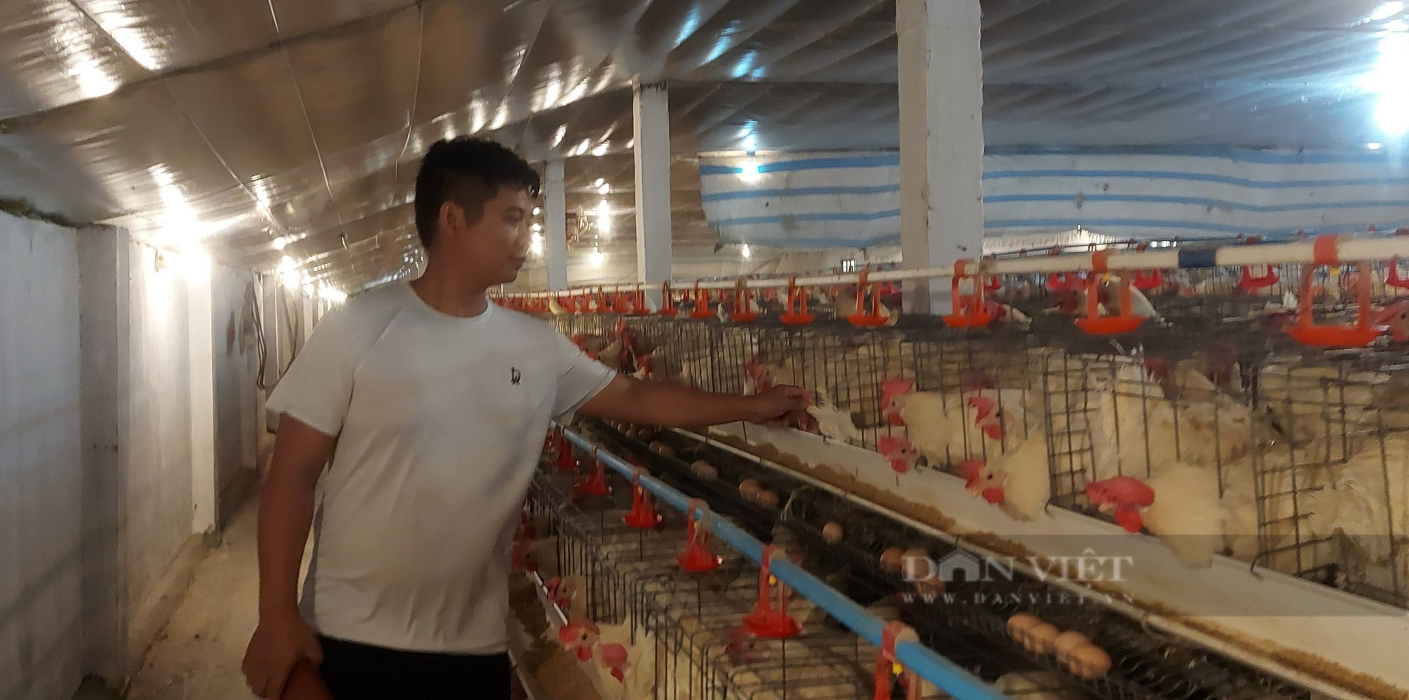 Nông dân Hải Phòng áp dụng công nghệ tự động hóa cho gà đẻ trứng sòn sòn, thu nhập hàng trăm triệu/ tháng - Ảnh 5.