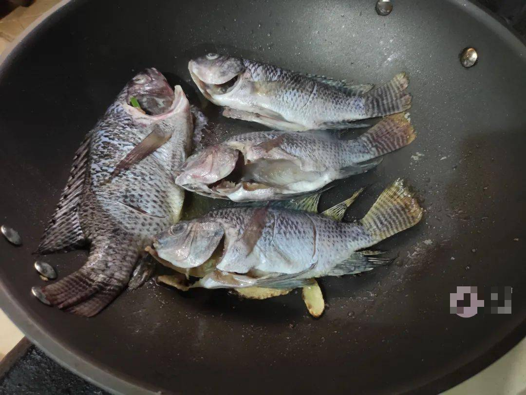 Loại cá hoang dã, hương vị cực thơm ngon, bổ xương, dưỡng não, chế biến đơn giản cũng ngon miệng - Ảnh 4.