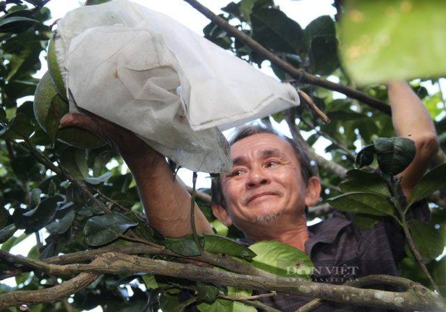 Nông sản sạch của Bình Định lên sàn thương mại điện tử, quét mã QR có ngay nguồn gốc sản phẩm  - Ảnh 4.