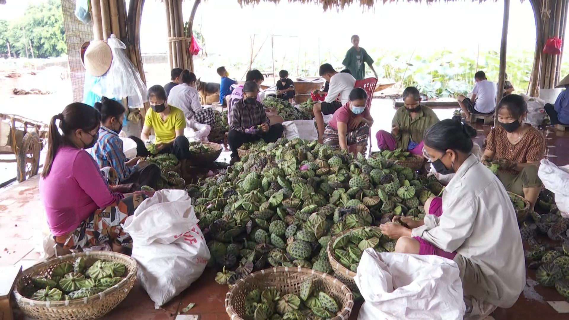 Phong trào nông dân thi đua sản xuất kinh doanh giỏi ở huyện Tam Nông giúp hàng trăm hộ thoát nghèo - Ảnh 3.
