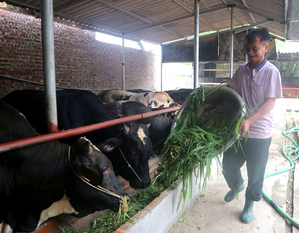 Phong trào nông dân thi đua sản xuất kinh doanh giỏi ở huyện Tam Nông giúp hàng trăm hộ thoát nghèo - Ảnh 2.