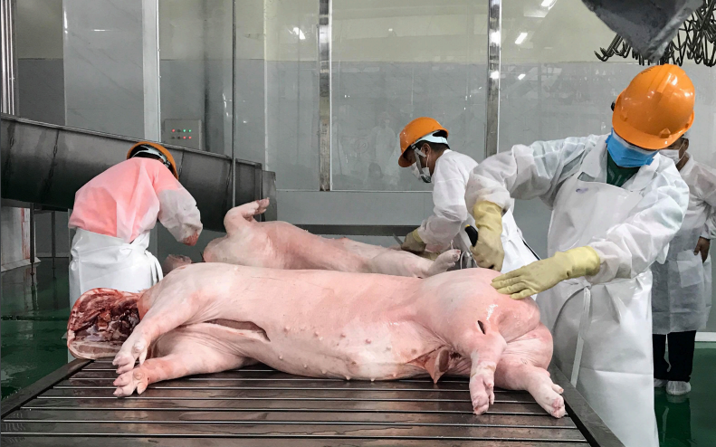 Lợi nhuận của các doanh nghiệp ngành chăn nuôi lợn sẽ bị thu hẹp đáng kể