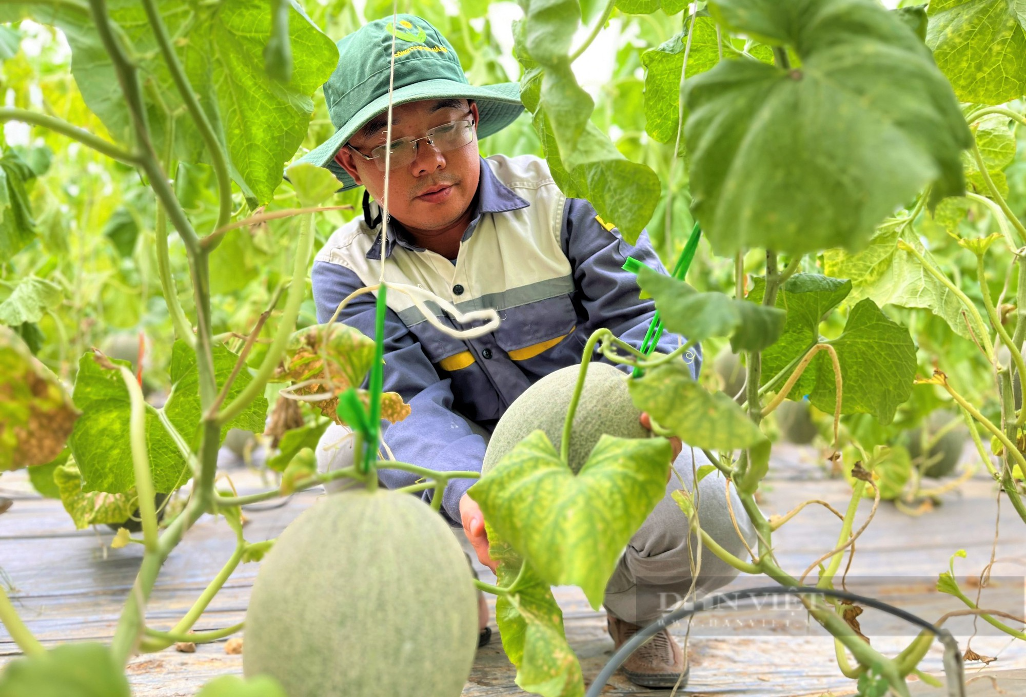 Đầu tư dựng trang trại công nghệ cao trồng đủ thứ trái ngon, anh nông dân Nghệ An lãi một năm nửa tỷ - Ảnh 3.