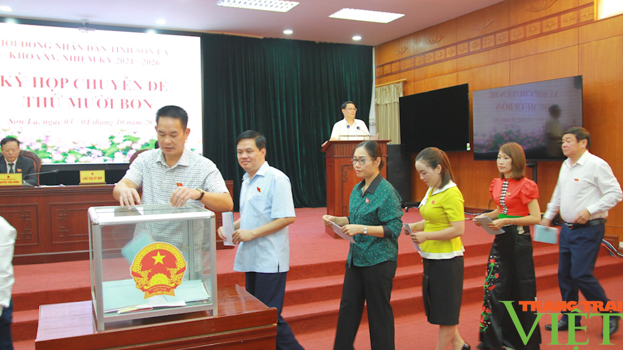 Sơn La: Lấy phiếu tín nhiệm đối với những người giữ chức vụ do HĐND tỉnh khóa XV bầu - Ảnh 2.