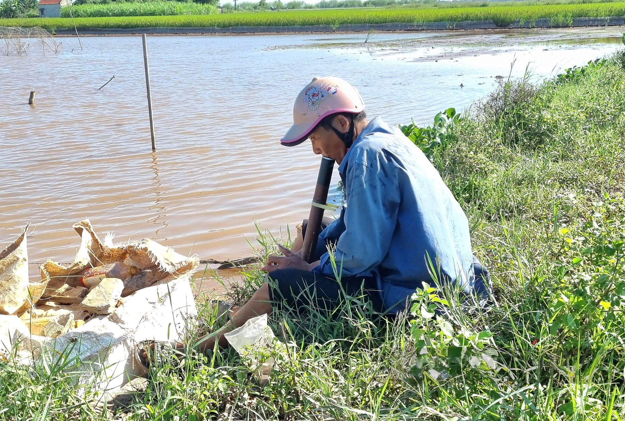 La liệt dụng cụ bẫy chim hoang dã trên cánh đồng lúa tại Ninh Bình - Ảnh 7.