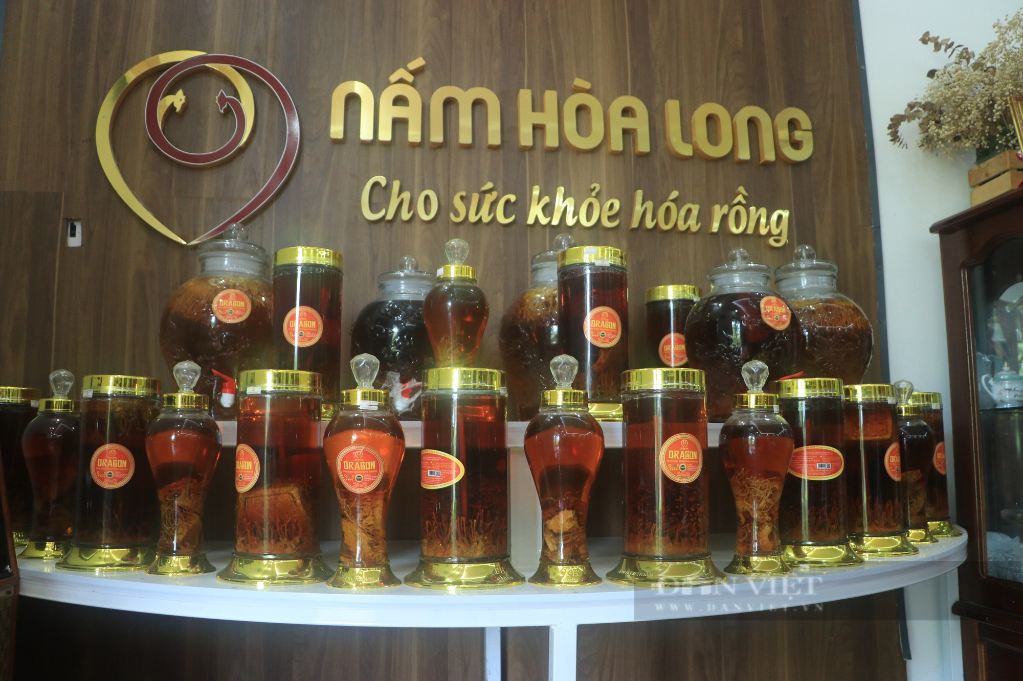Trồng loại nấm có giá 5 triệu đồng/kg, người phụ nữ được vinh danh Nông dân Việt Nam xuất sắc 2023 - Ảnh 6.