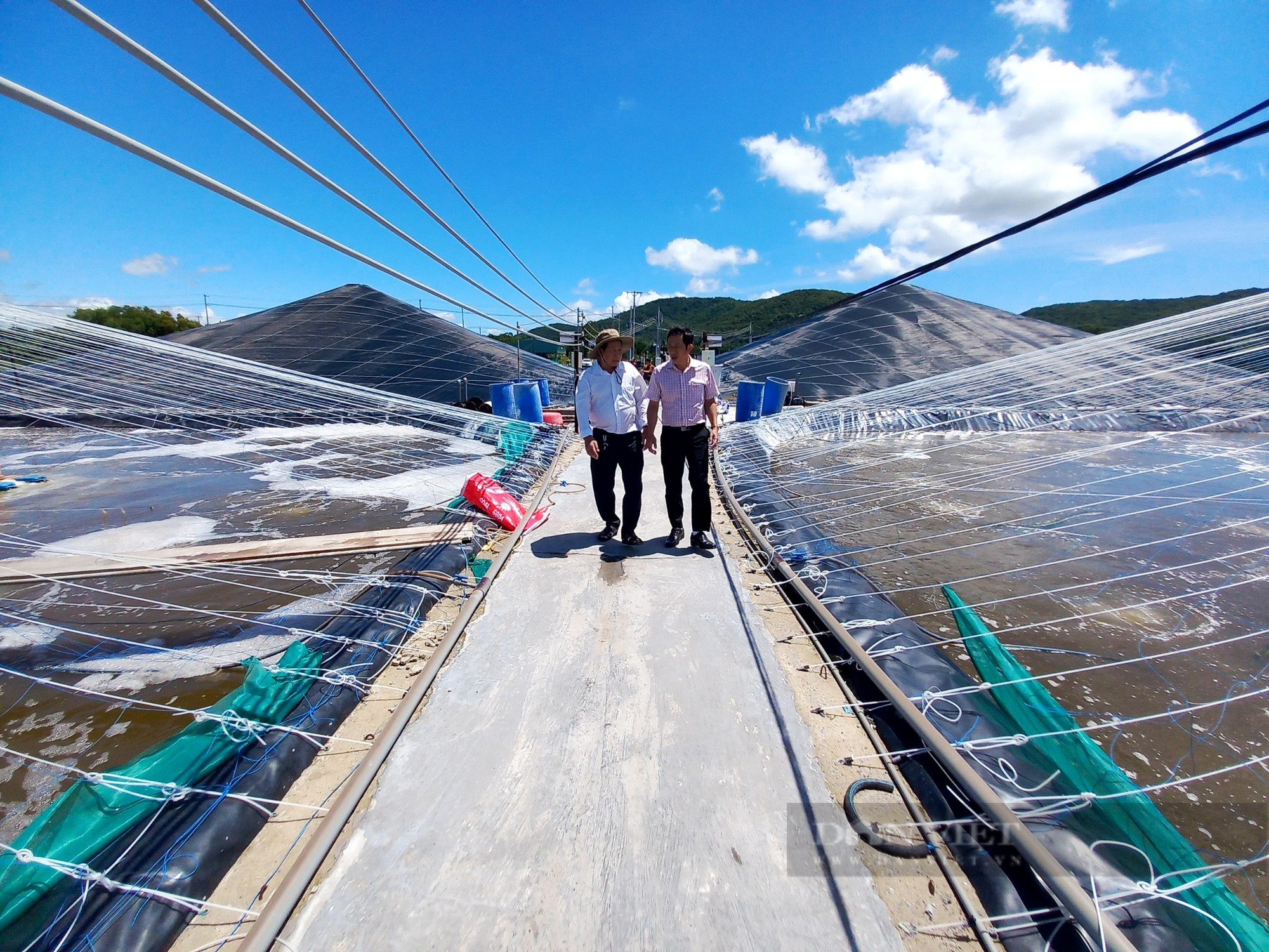 Giỏi giang trồng lúa, làm muối, nuôi cá, tôm lão nông ở BR - VT là Nông dân Việt Nam xuất sắc 2023 - Ảnh 6.